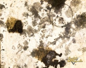 Oil Stains Very Dirty Oil-Stained Floor